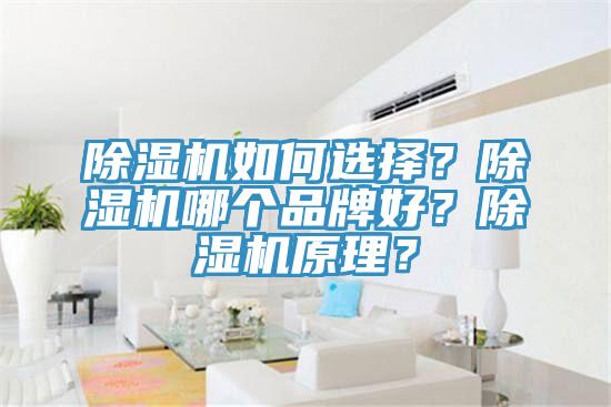 小黄片软件免费下载如何選擇？小黄片软件免费下载哪個品牌好？小黄片软件免费下载原理？