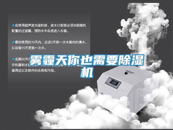 霧霾天你也需要小黄片软件免费下载