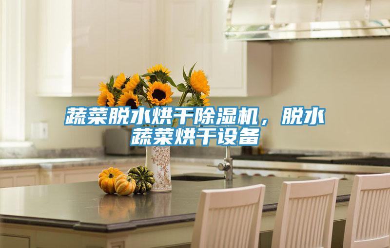 蔬菜脫水烘幹小黄片软件免费下载，脫水蔬菜烘幹設備