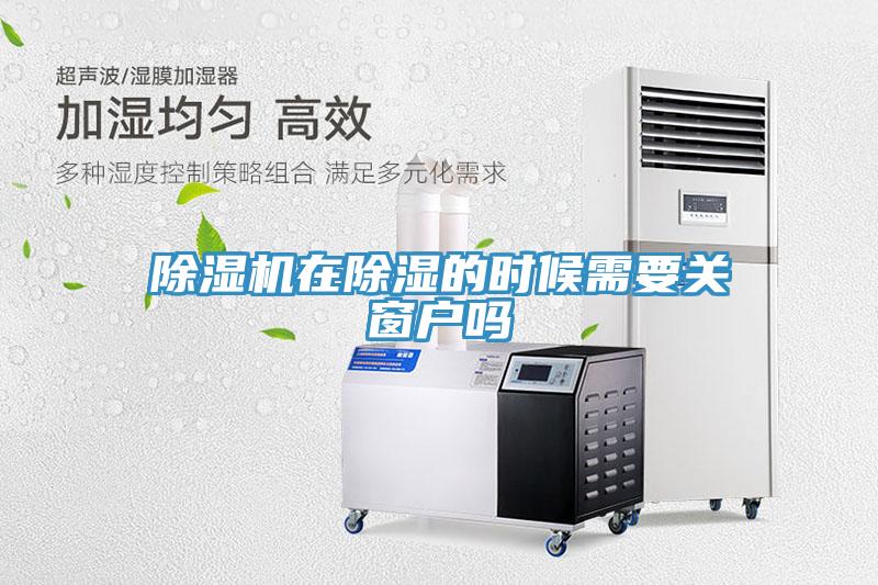 小黄片软件免费下载在除濕的時候需要關窗戶嗎