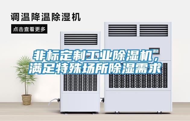 非標定製工業小黄片软件免费下载，滿足特殊場所除濕需求