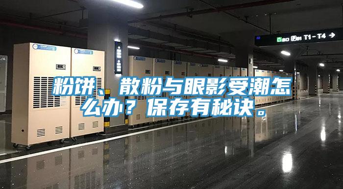 粉餅、散粉與眼影受潮怎麽辦？保存有秘訣。