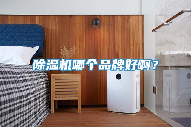 小黄片软件免费下载哪個品牌好啊？