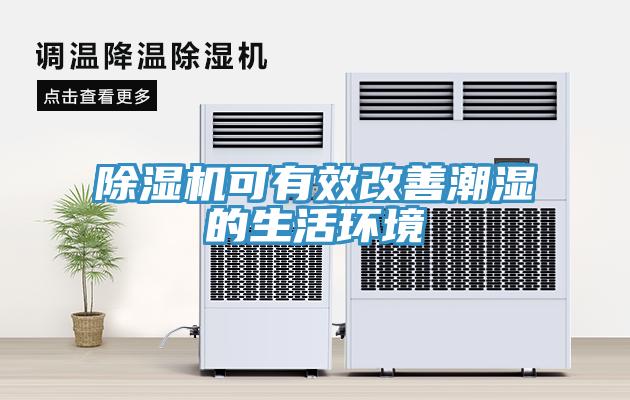 小黄片软件免费下载可有效改善潮濕的生活環境