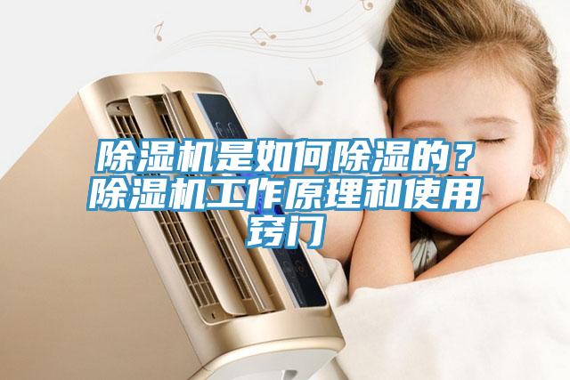 小黄片软件免费下载是如何除濕的？小黄片软件免费下载工作原理和使用竅門