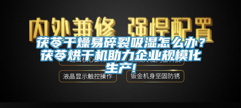 茯苓幹燥易碎裂吸濕怎麽辦？茯苓烘幹機助力企業規模化生產!