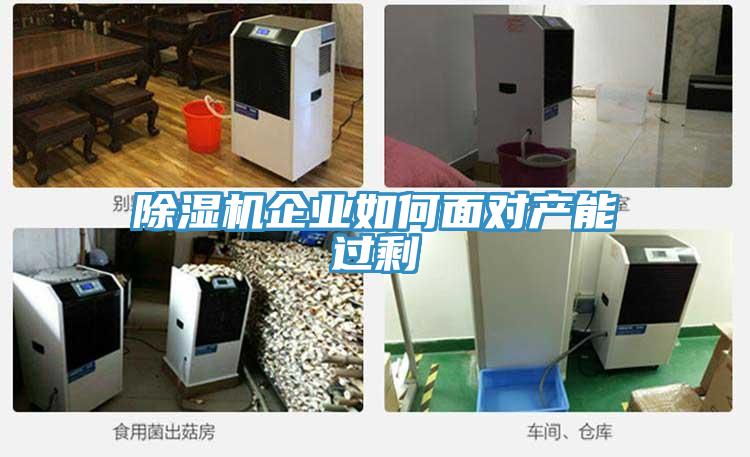 小黄片软件免费下载企業如何麵對產能過剩