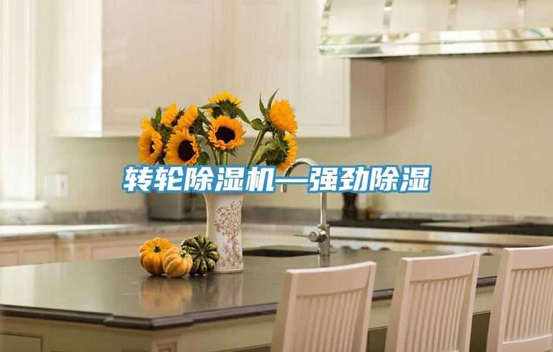 轉輪小黄片软件免费下载—強勁除濕