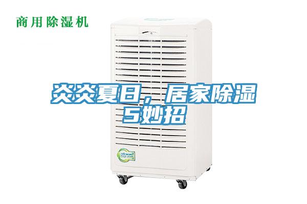 炎炎夏日，居家除濕5妙招