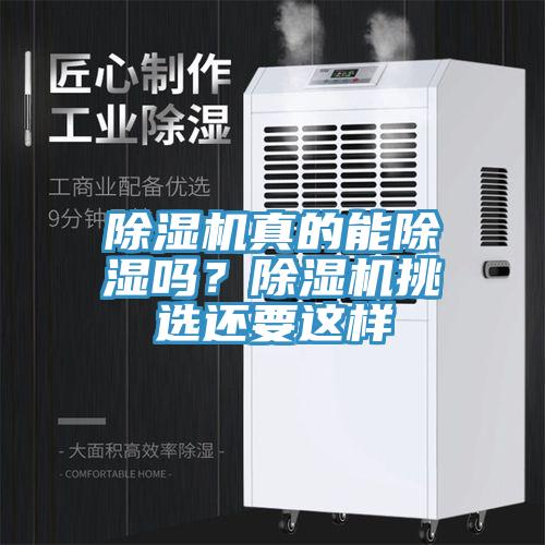 小黄片软件免费下载真的能除濕嗎？小黄片软件免费下载挑選還要這樣