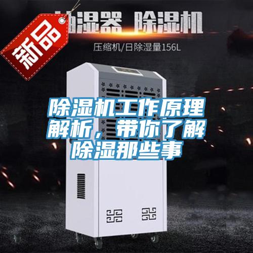 小黄片软件免费下载工作原理解析，帶你了解除濕那些事