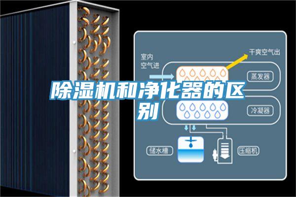 小黄片软件免费下载和淨化器的區別