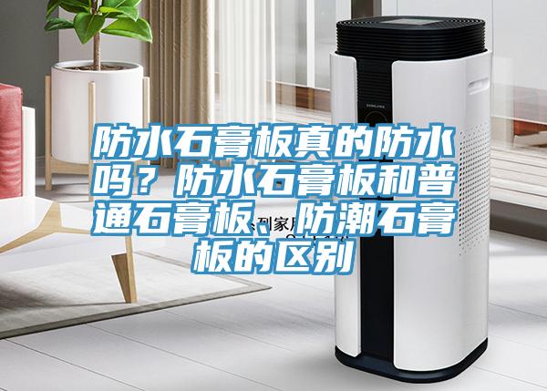 防水石膏板真的防水嗎？防水石膏板和普通石膏板、防潮石膏板的區別