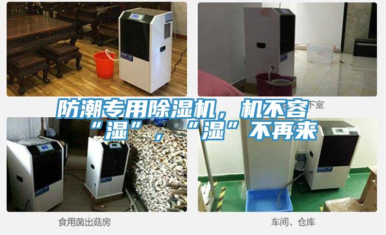 防潮專用小黄片软件免费下载，機不容“濕”，“濕”不再來