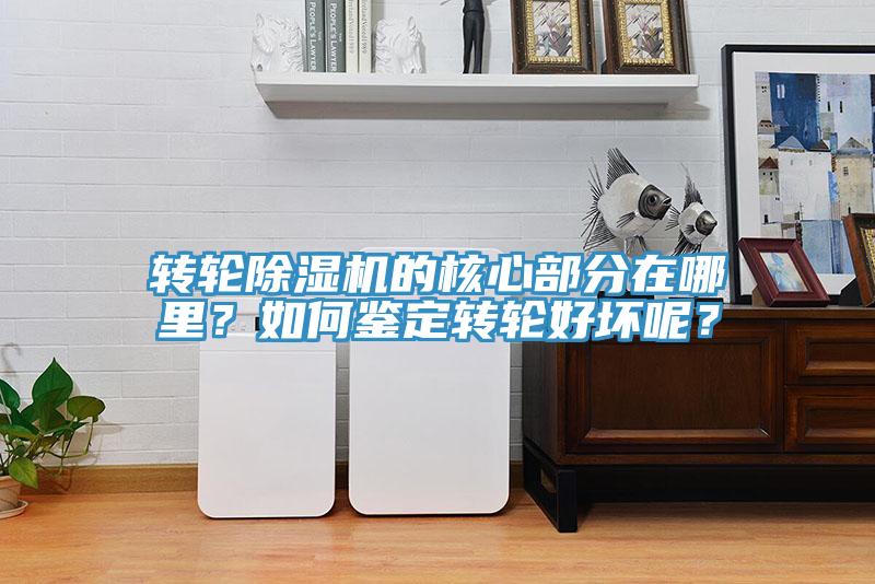 轉輪小黄片软件免费下载的核心部分在哪裏？如何鑒定轉輪好壞呢？