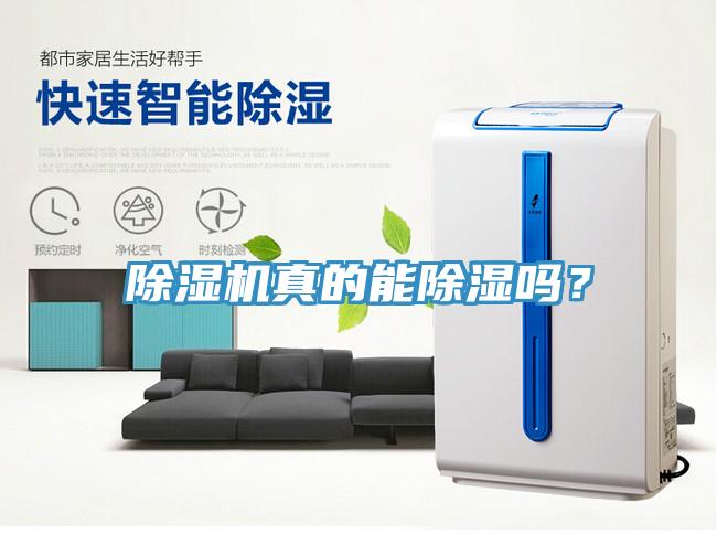 小黄片软件免费下载真的能除濕嗎？