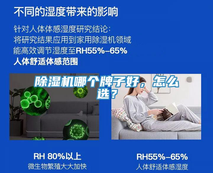 小黄片软件免费下载哪個牌子好，怎麽選？