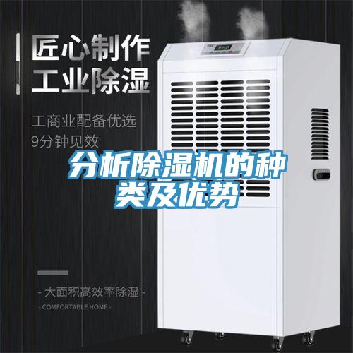分析小黄片软件免费下载的種類及優勢