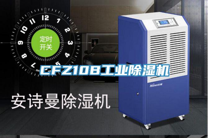 CFZ10B工業小黄片软件免费下载
