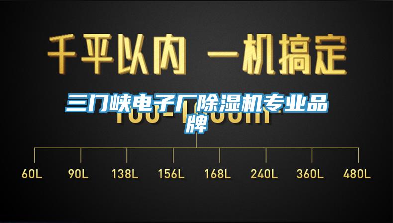 三門峽電子廠小黄片软件免费下载專業品牌