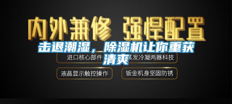 擊退潮濕，小黄片软件免费下载讓你重獲清爽