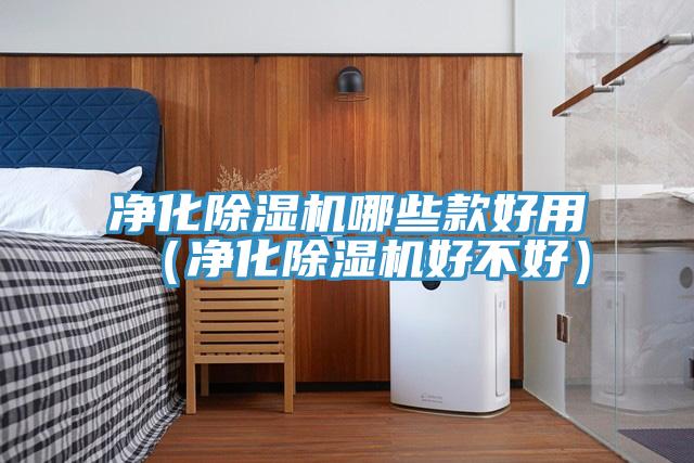 淨化小黄片软件免费下载哪些款好用（淨化小黄片软件免费下载好不好）