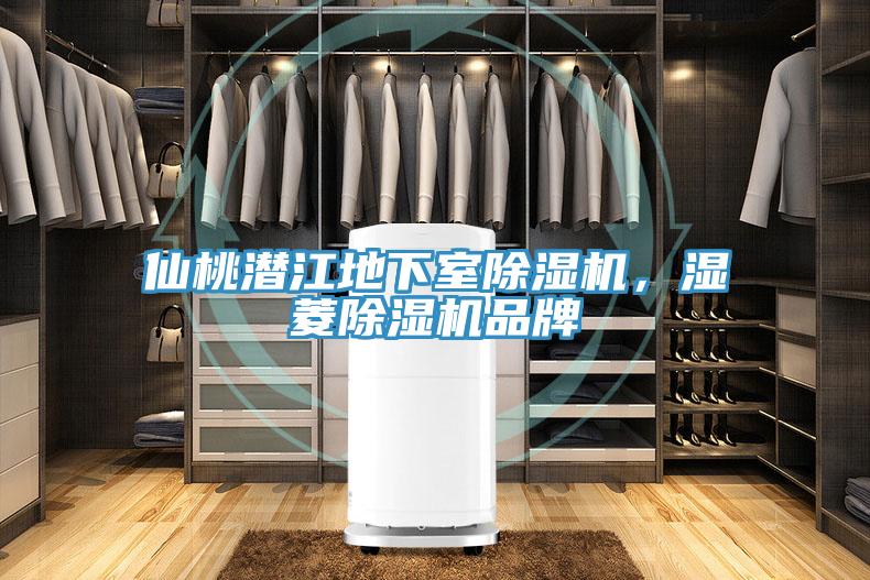仙桃潛江地下室小黄片软件免费下载，濕菱小黄片软件免费下载品牌