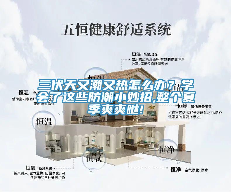 三伏天又潮又熱怎麽辦？學會了這些防潮小妙招,整個夏季爽爽噠!