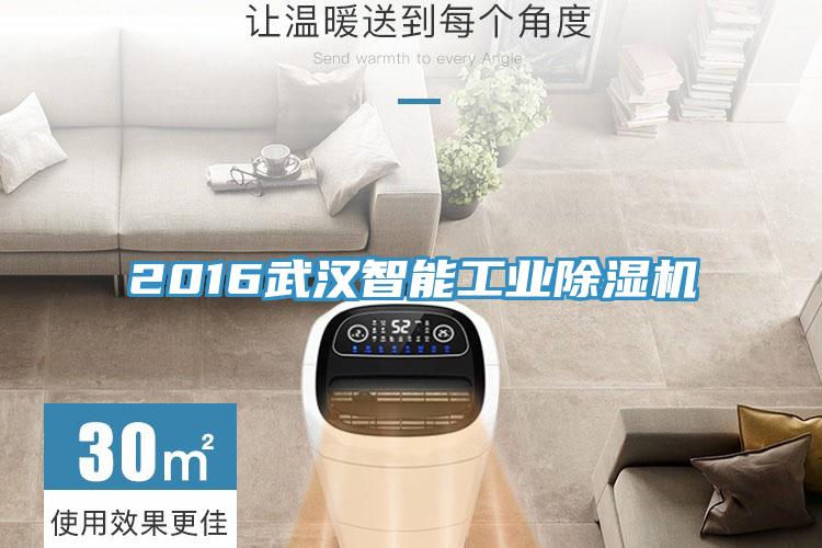 2016武漢智能工業小黄片软件免费下载