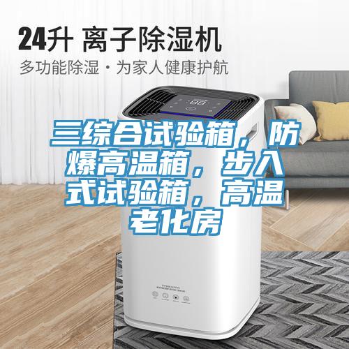 三綜合試驗箱，防爆高溫箱，步入式試驗箱，高溫老化房