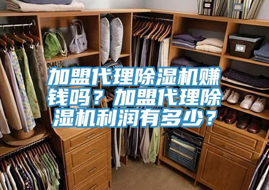 加盟代理小黄片软件免费下载賺錢嗎？加盟代理小黄片软件免费下载利潤有多少？