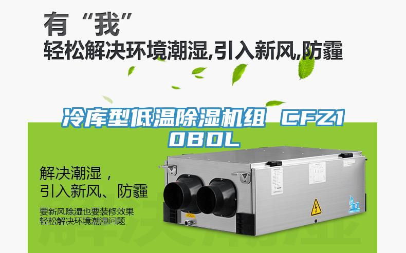 冷庫型低溫小黄片软件免费下载組 CFZ10BDL