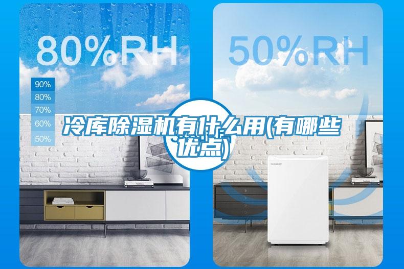 冷庫小黄片软件免费下载有什麽用(有哪些優點)