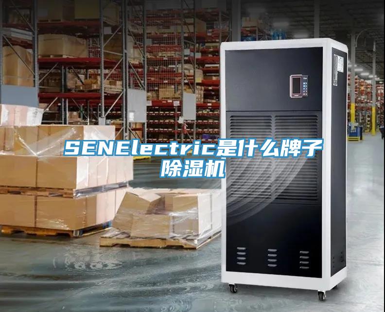 SENElectric是什麽牌子小黄片软件免费下载