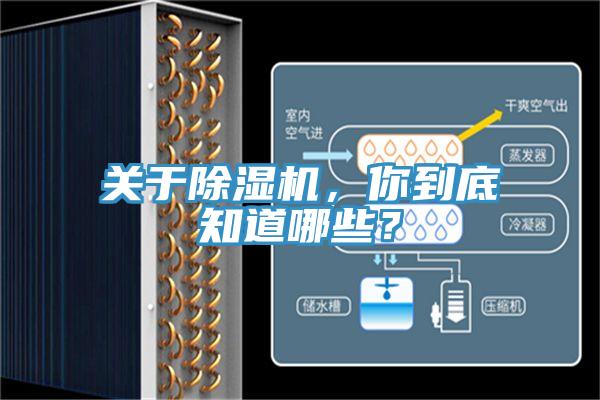 關於小黄片软件免费下载，你到底知道哪些？