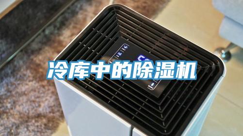 冷庫中的小黄片软件免费下载