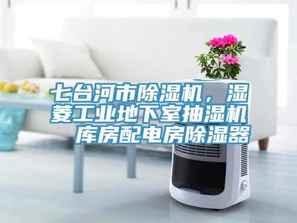 七台河市小黄片软件免费下载，濕菱工業地下室抽濕機  庫房配電房除濕器