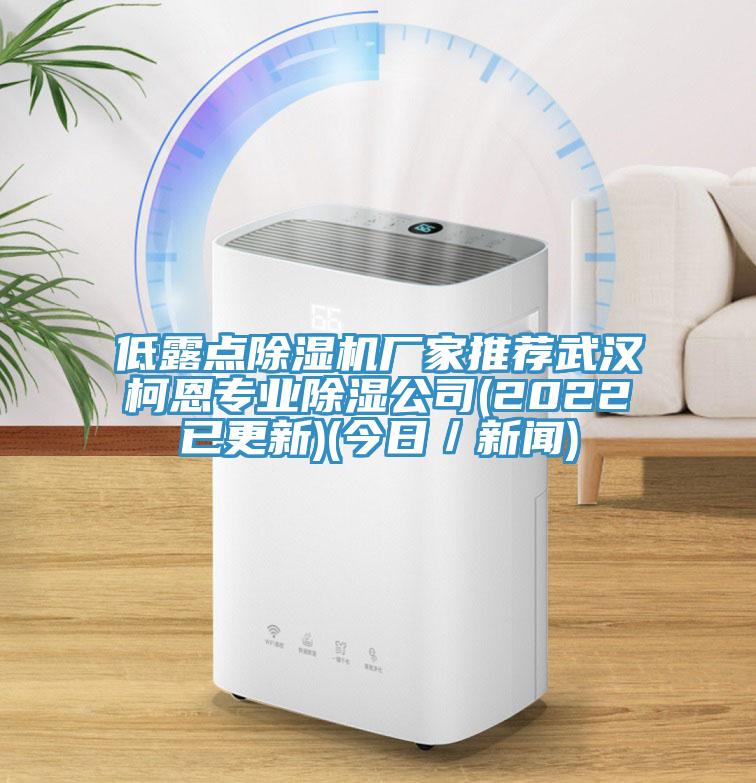 低露點小黄片软件免费下载廠家推薦武漢柯恩專業除濕公司(2022已更新)(今日／新聞)