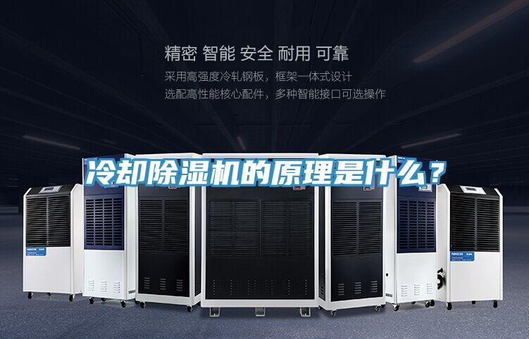 冷卻小黄片软件免费下载的原理是什麽？