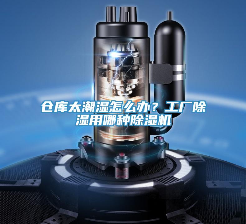 倉庫太潮濕怎麽辦？工廠除濕用哪種小黄片软件免费下载