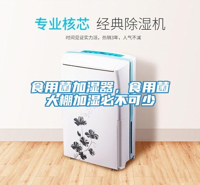 食用菌加濕器，食用菌大棚加濕必不可少