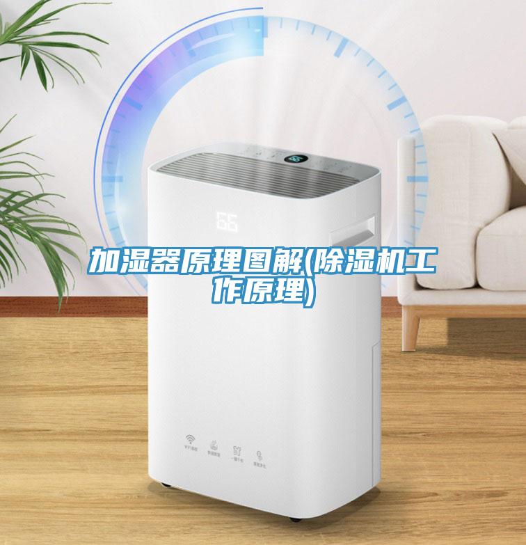 加濕器原理圖解(小黄片软件免费下载工作原理)