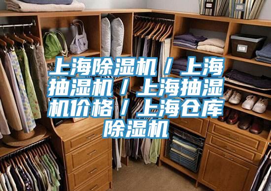 上海小黄片软件免费下载／上海抽濕機／上海抽濕機價格／上海倉庫小黄片软件免费下载