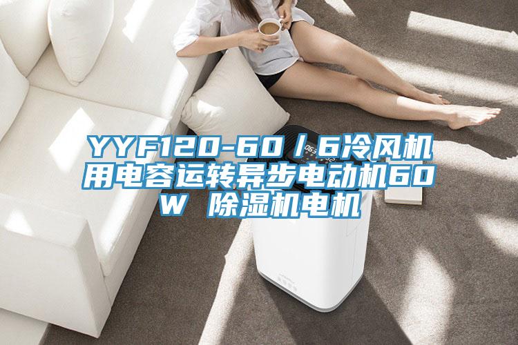 YYF120-60／6冷風機用電容運轉異步電動機60W 小黄片软件免费下载電機