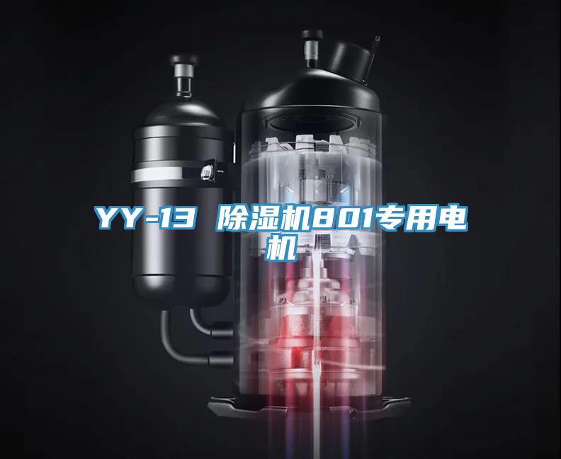YY-13 小黄片软件免费下载801專用電機