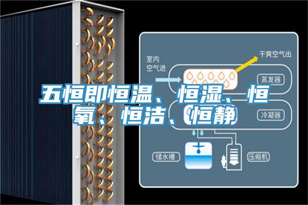 五恒即恒溫、恒濕、恒氧、恒潔、恒靜