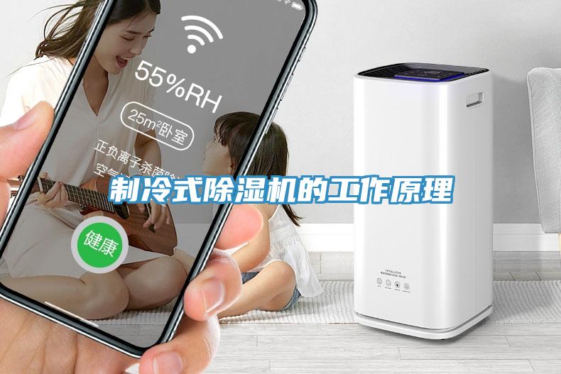 製冷式小黄片软件免费下载的工作原理