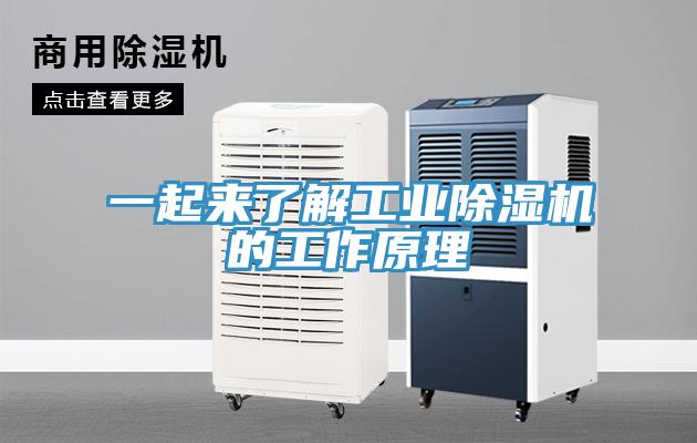 一起來了解工業小黄片软件免费下载的工作原理