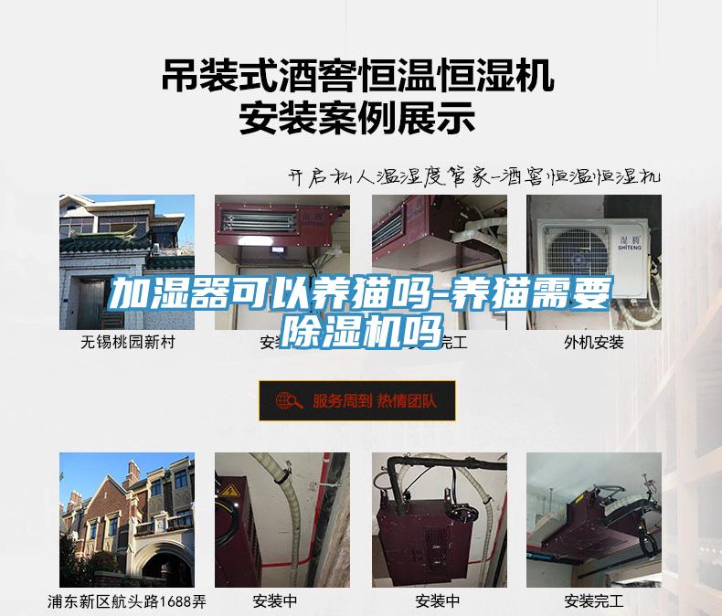 加濕器可以養貓嗎-養貓需要小黄片软件免费下载嗎