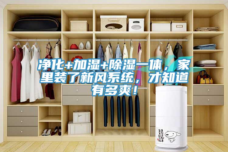 淨化+加濕+除濕一體，家裏裝了新風係統，才知道有多爽！